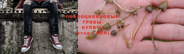 герыч Новокубанск