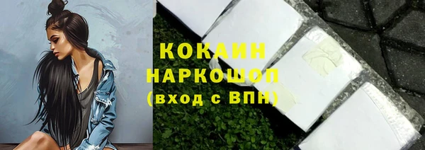 соль ск Новозыбков