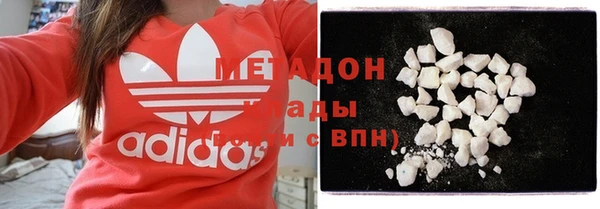 сатива Новодвинск