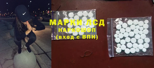 индика Нея