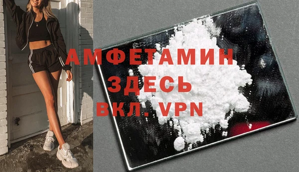 индика Нея