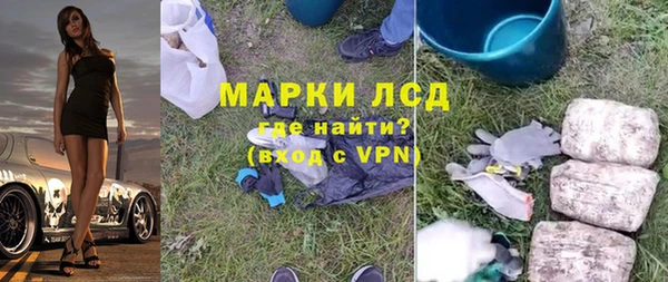 индика Нея