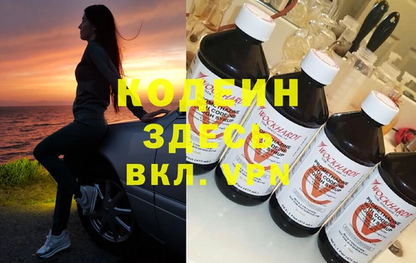 индика Нея