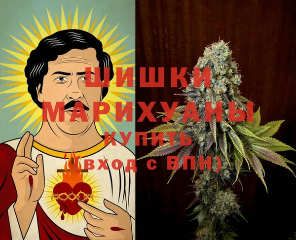 индика Нея