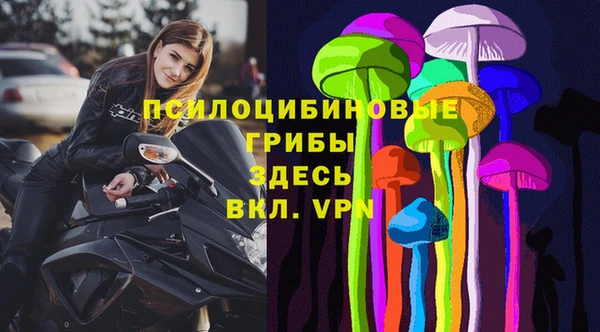 соль ск Новозыбков