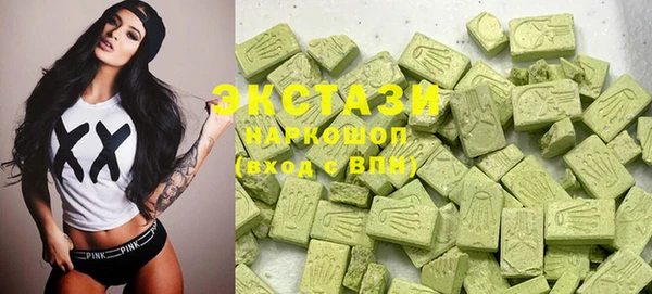 соль ск Новозыбков