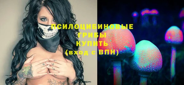 сатива Новодвинск