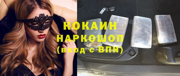 сатива Новодвинск