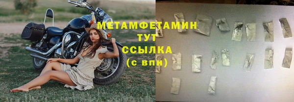 индика Нея