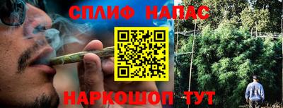 spice Рыбинск
