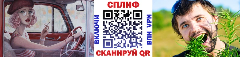 Конопля Amnesia  купить  цена  Троицк 